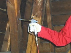 traitement charpente