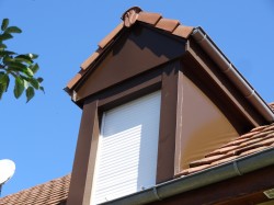 habillage chien assis après